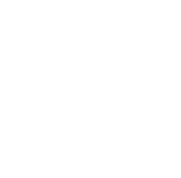 Reborn